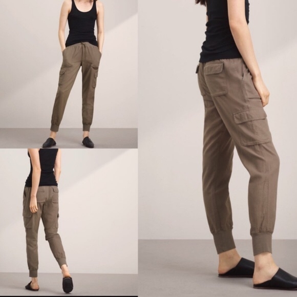 Aritzia Pants - Aritzia community ion pants